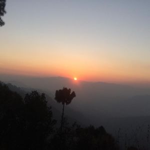 Meet your Posher, Thinley